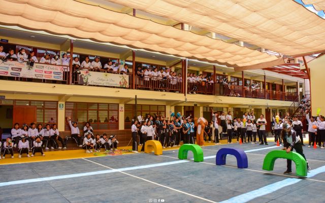 SRL 47