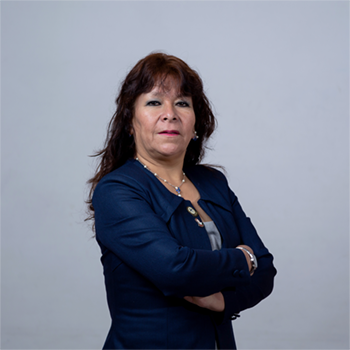 Prof. Mercedes Rosas Anco