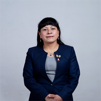 Prof. Liliana Castilla Enciso